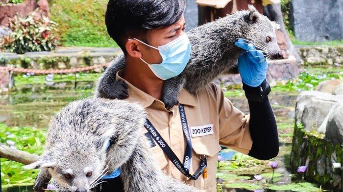 Koleksi satwa di Lembang Park & Zoo.