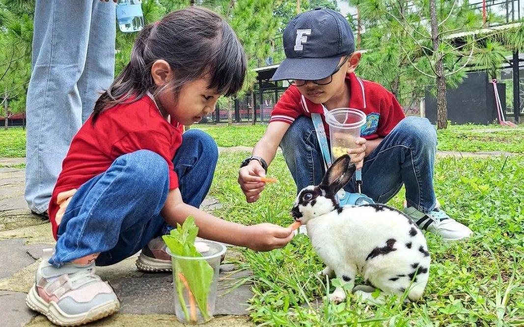 Wisatawan yang memberi makan hewan di mini zoo Jasmine Park, tempat wisata baru di Tangerang Banten.