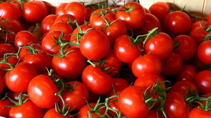 Tomat, satu makanan yang bisa kamu konsumsi sepuasnya tanpa takut berat badan naik.
