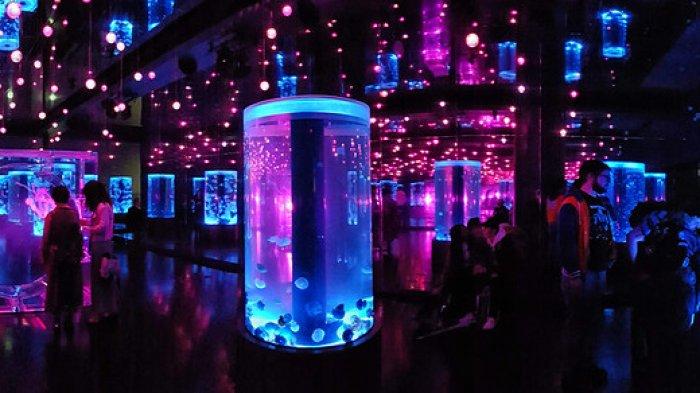 Maxell Aqua Park Shinagawa, satu aquarium terbaik di Tokyo Jepang buat dikunjungi bareng anak.