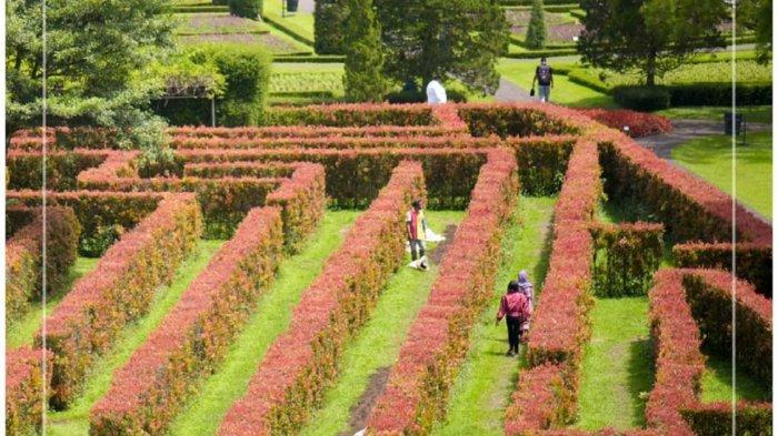 Maze Garden Taman Bunga Nusantara.
