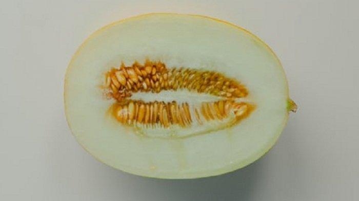 Ilustrasi buah melon.