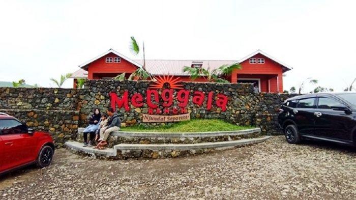 Menggala Ranch salah satu wisata favorit yang berada di Kabupaten Banyumas perpaduan wisata alam dan wisata edukasi, Minggu (22/5/2022).