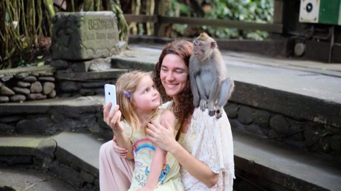 Monyet di Monkey Forest, Ubud, Gianyar, Bali, naik ke kepala wisatawan.