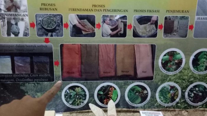 Pewarnaan batik sejak 18 abad yang lalu menggunakan buahbdan tanaman-tanaman tertentu. Anda bisa melihatnya di Museum Nasional Sejarah Alam Indonesia (Munasein), Bogor, Jawa Barat