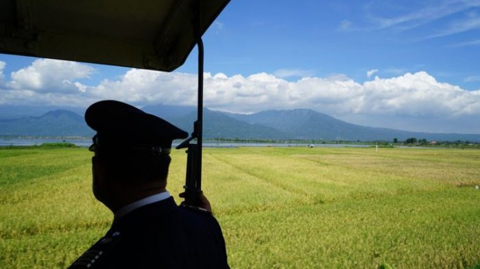 Pemandangan dari atas kereta wisata di Museum Kereta Api Ambarawa.