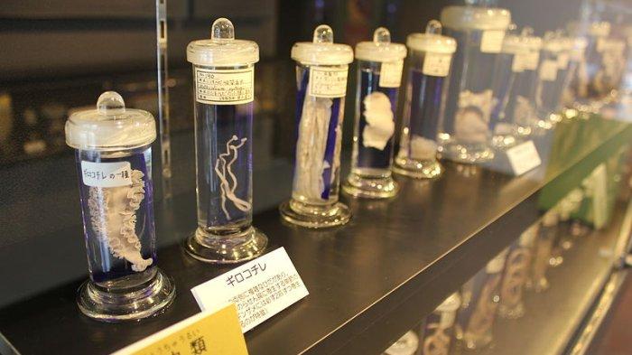 Museum Parasitologi Meguro, satu museum unik di Tokyo Jepang.
