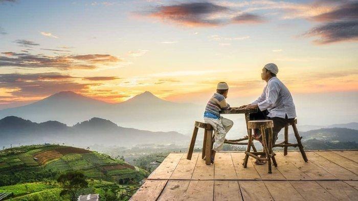Silancur Highland Magelang, tempat wisata dengan taman bunga berlatar Gunung Sumbing