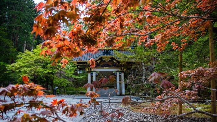 Nikko bisa dikunjungi shio kerbau.