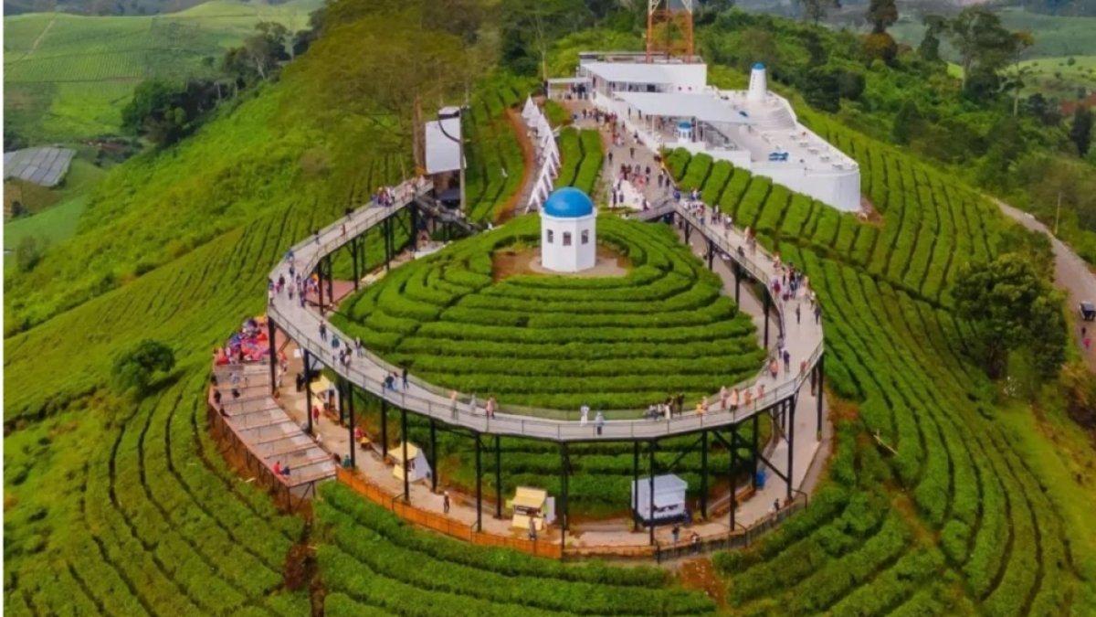 Nimo Highland adalah satu tempat wisata baru di Kabupaten Bandung yang sedang viral. 