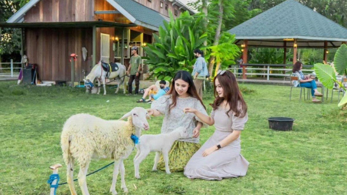 Obelix Village, Sleman, Jogja.