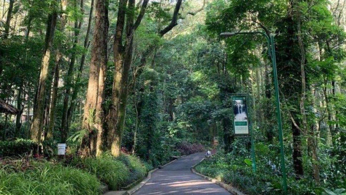 hutan lindung untuk wisata jawa barat