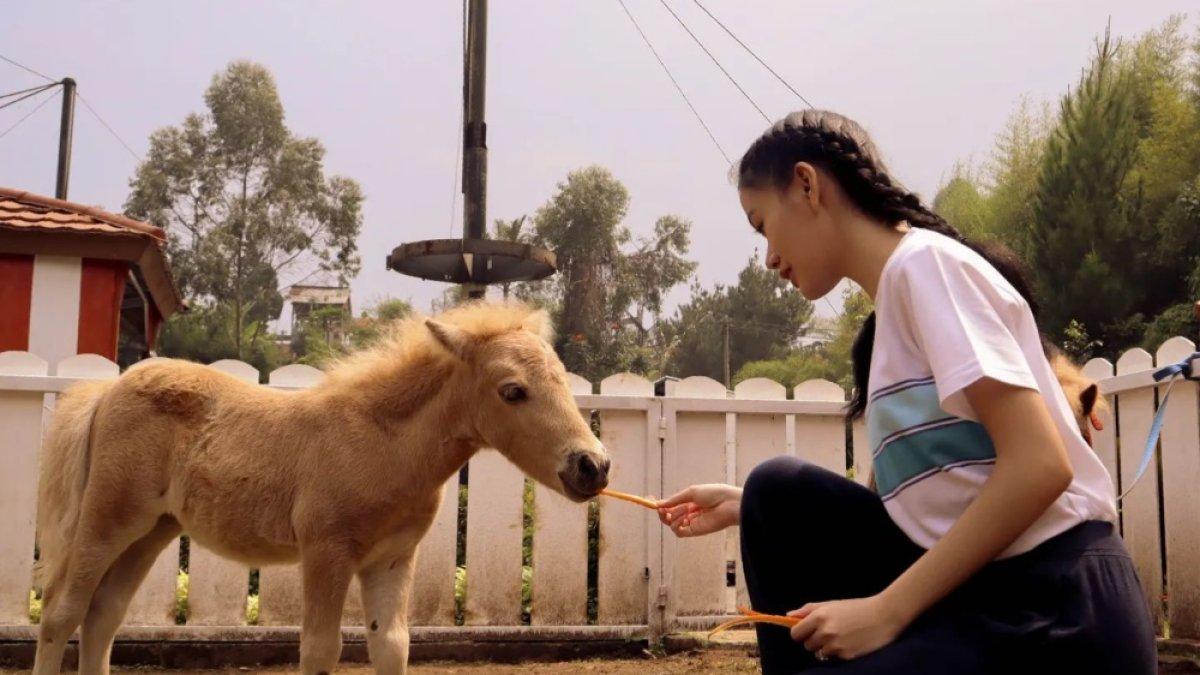 Lembang Park & Zoo, rekomendasi tempat wisata populer di Kabupaten Bandung, Jawa Barat.
