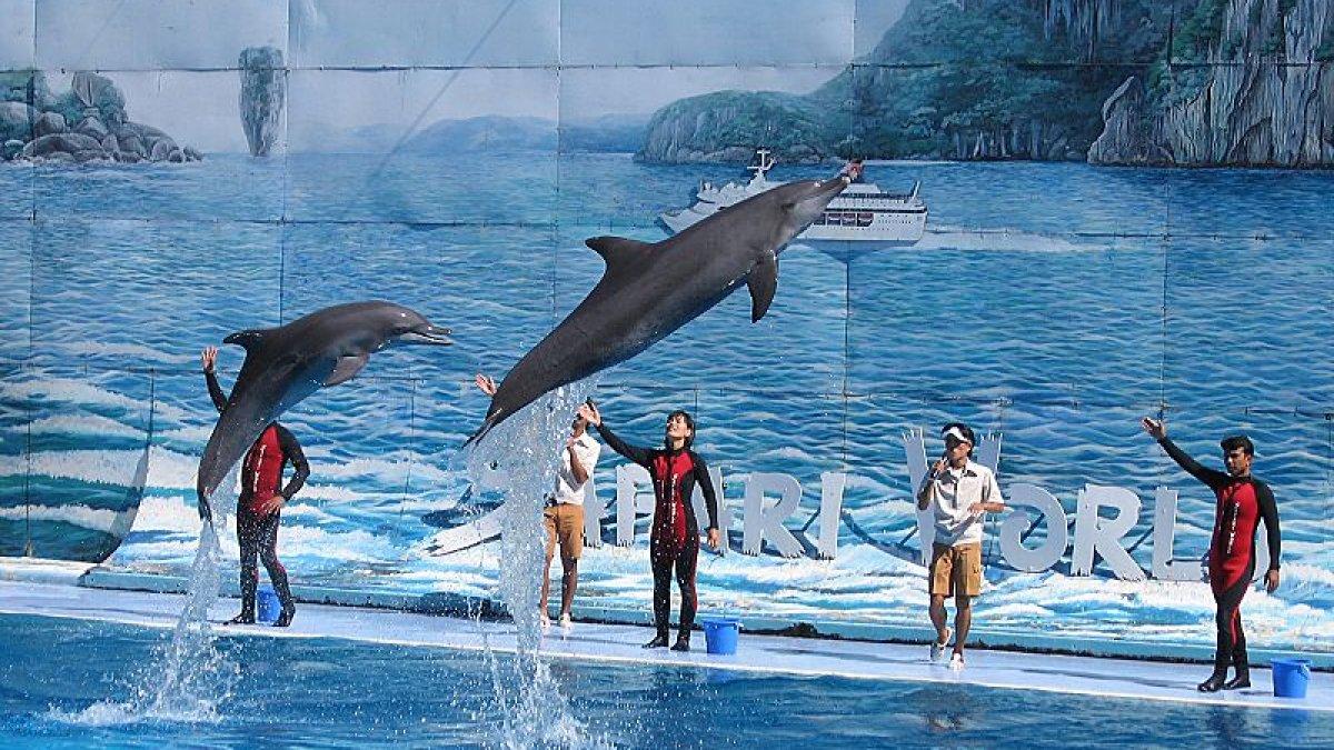 Panduan liburan ke Safari World Bangkok, cek juga harga tiket masuknya