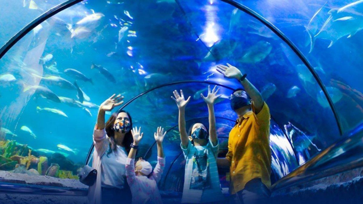 Pengunjung berwisata ke Sea World Ancol dan melihat beragam biota lautnya, tempat wisata dengan oceanarium hits di Jakarta Utara, Jakarta.