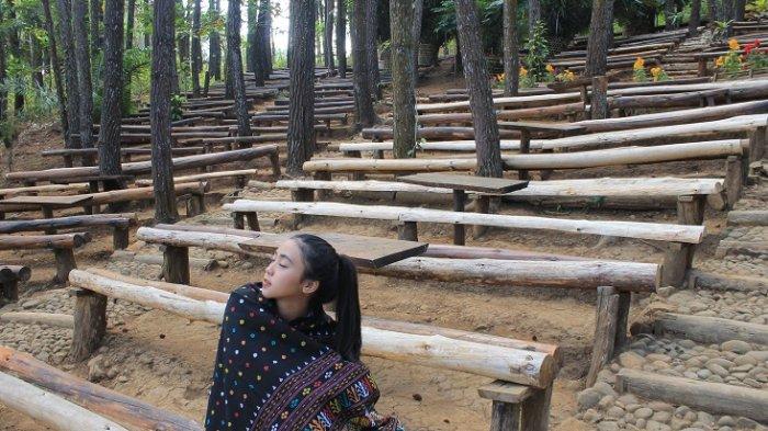 Panggung Sekolah Hutan Pinus Mangunan di Bantul, DI Yogyakarta.