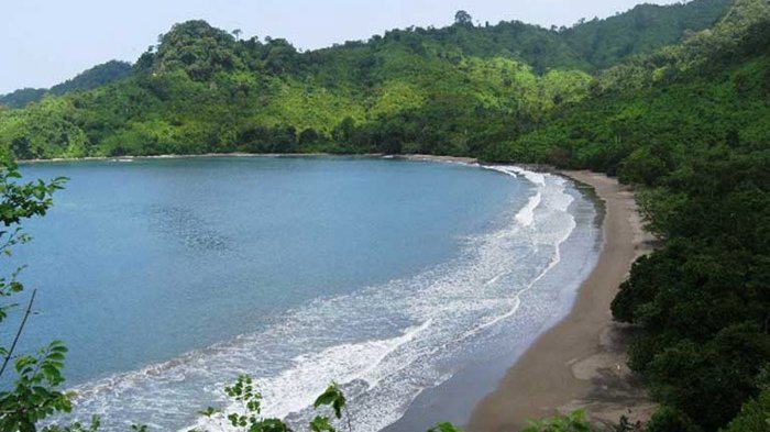 Pemandangan Teluk Bandealit dari Atas Bukit: Keindahan Teluk Bandealit yang terlihat dari atas bukit, menampilkan laut biru jernih yang dikelilingi oleh hutan tropis yang 