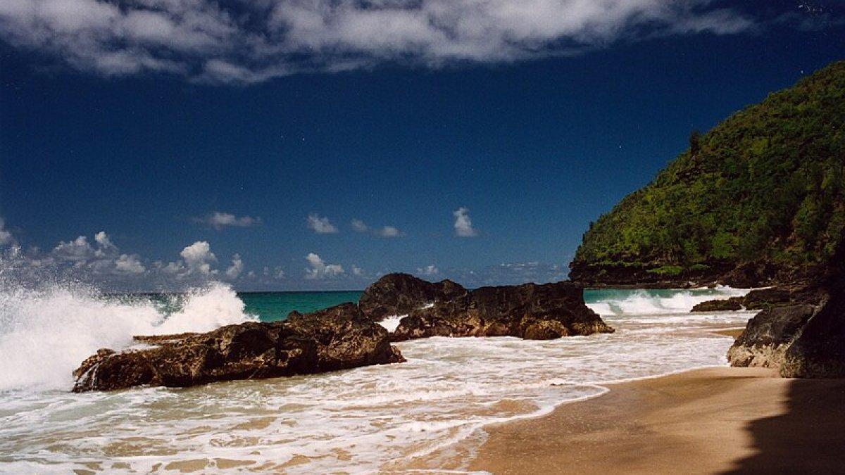 Hawaii bisa dikunjungi shio kelinci.