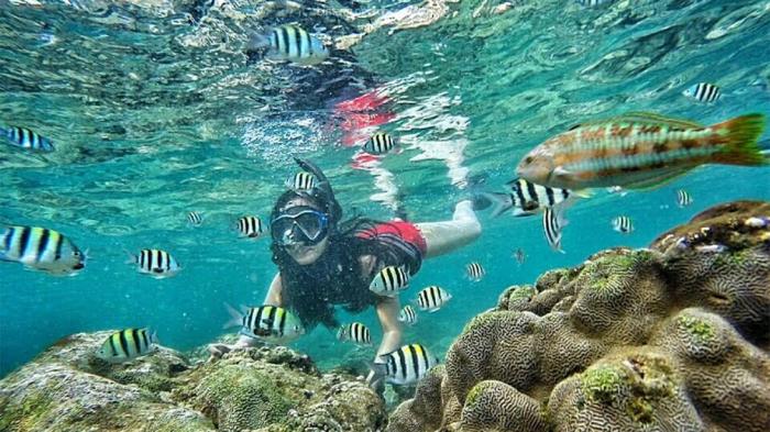 Snorkling di Pantai Nglambor, Desa Purwodadi, Kecamatan Tepus, Kabupaten Gunungkidul, Jogja.