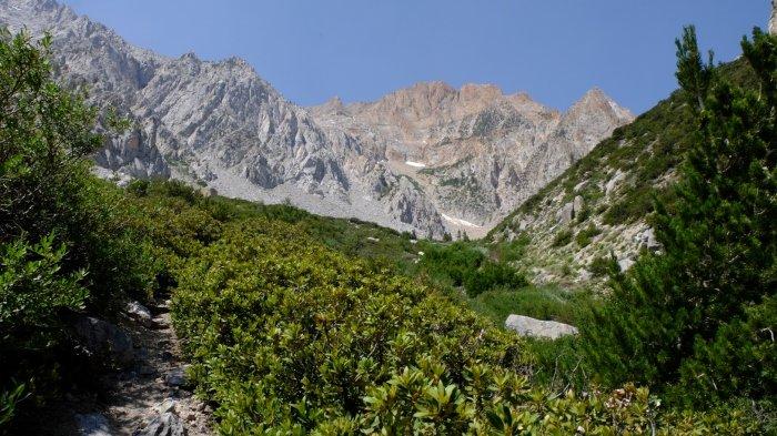 Ilustrasi pemandangan Taboose Pass, jalur pegunungan di Sierra Nevada, California, Amerika Serikat.