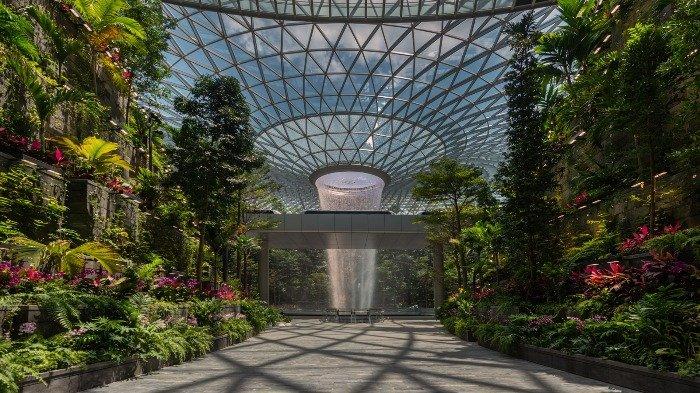 Pemandangan Shiseido Forest Valley and HSBC Rain Vortex dari Terminal 1