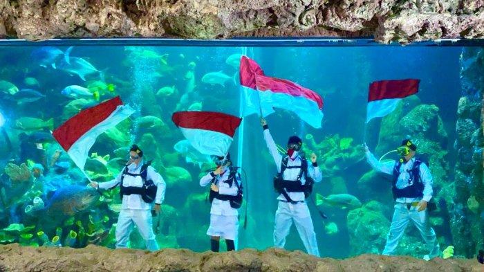 Pengibaran Bendera Merah Putih raksasa di dalam akuarium Sea World Ancol digelar pada Hari Kemerdekaan RI, Rabu (17/8/2022).