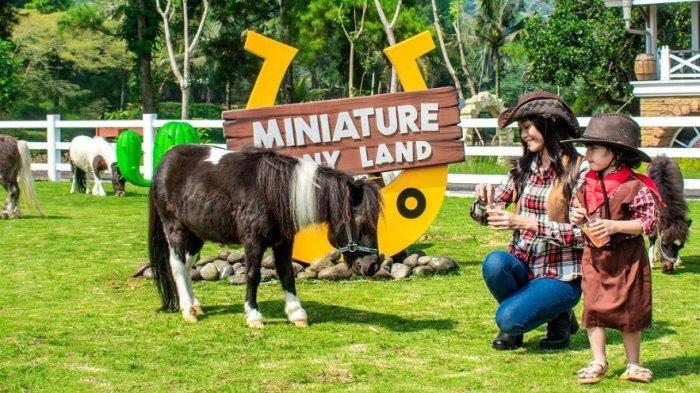 Pengunjung berfoto dengan koleksi satwa di Cimory Dairyland Farm Theme Park Puncak