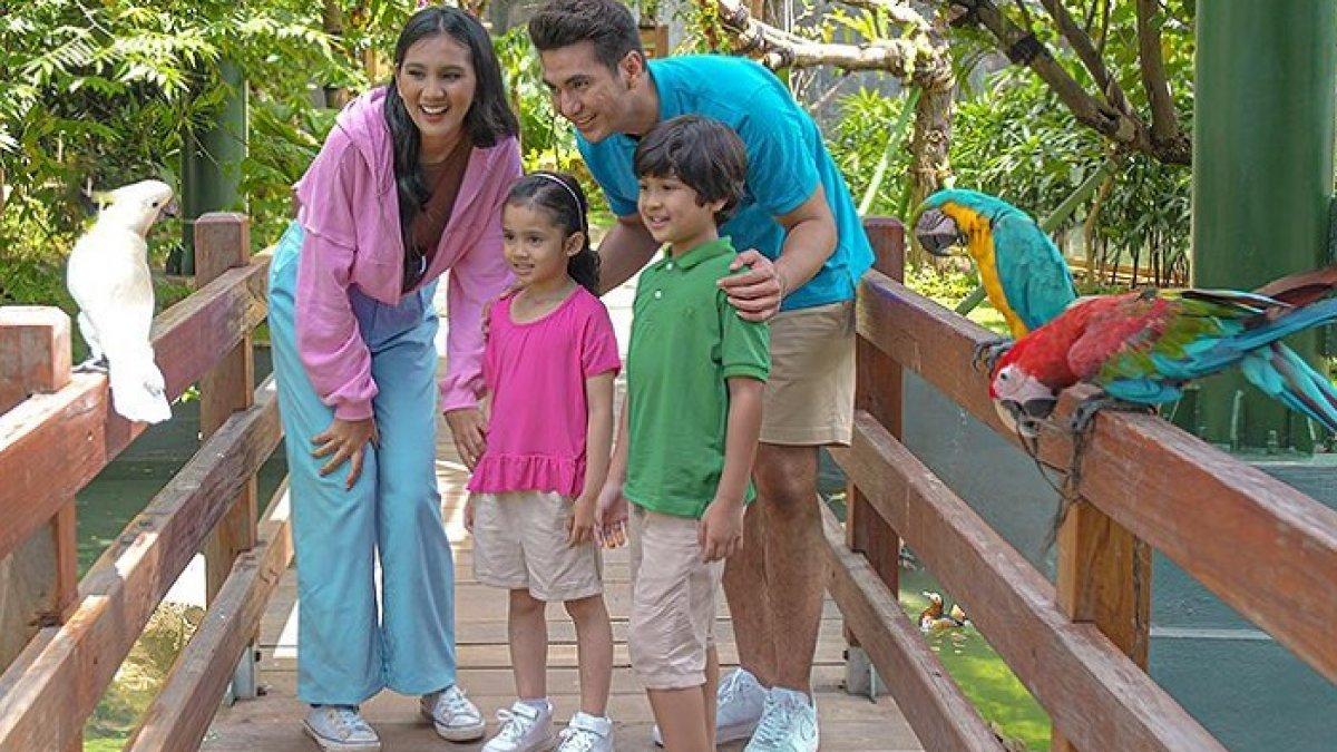 Taman Impian Jaya Ancol menghadirkan Jakarta Bird Land, cocok dikunjungi saat libur Lebaran.