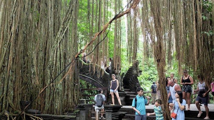 Wisatawan sedang berada di Monkey Forest Ubud, Bali.