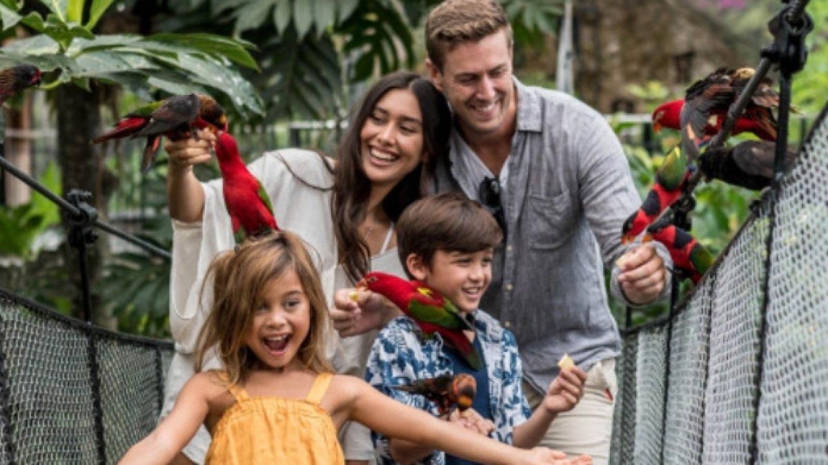 Pengunjung foto bersama burung di Bali Bird Park, tempat wisata di Kecamatan Sukawati, Kabupaten Gianyar, Bali yang lokasinya dekat hotel dan tempat sewa mobil.