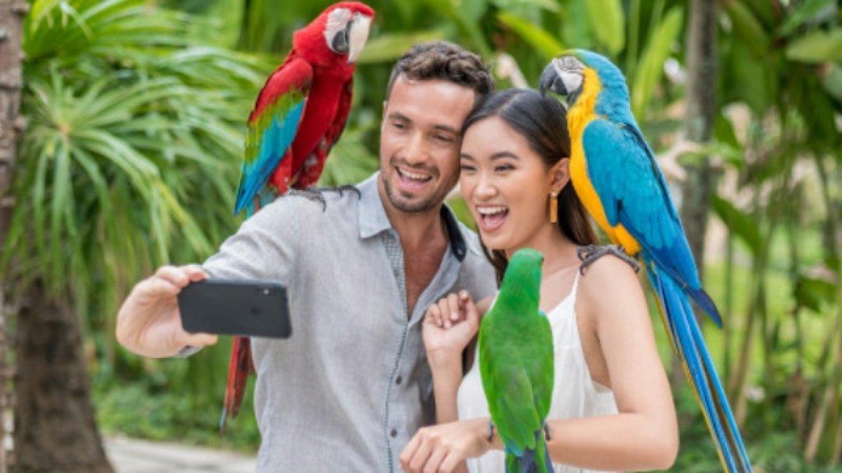 Pengunjung foto bersama burung di Bali Bird Park.