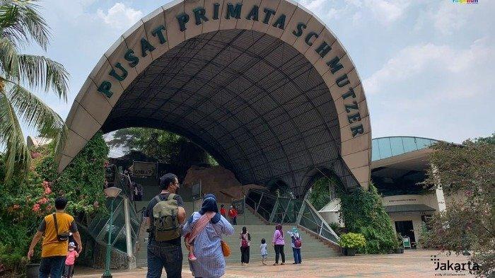 Pusat Primata Schmutzer di Taman Margasatwa Ragunan.