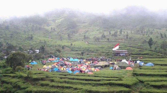 Perkemahan Promasan di Kebun Teh Medini, Kendal, Jawa Tengah.
