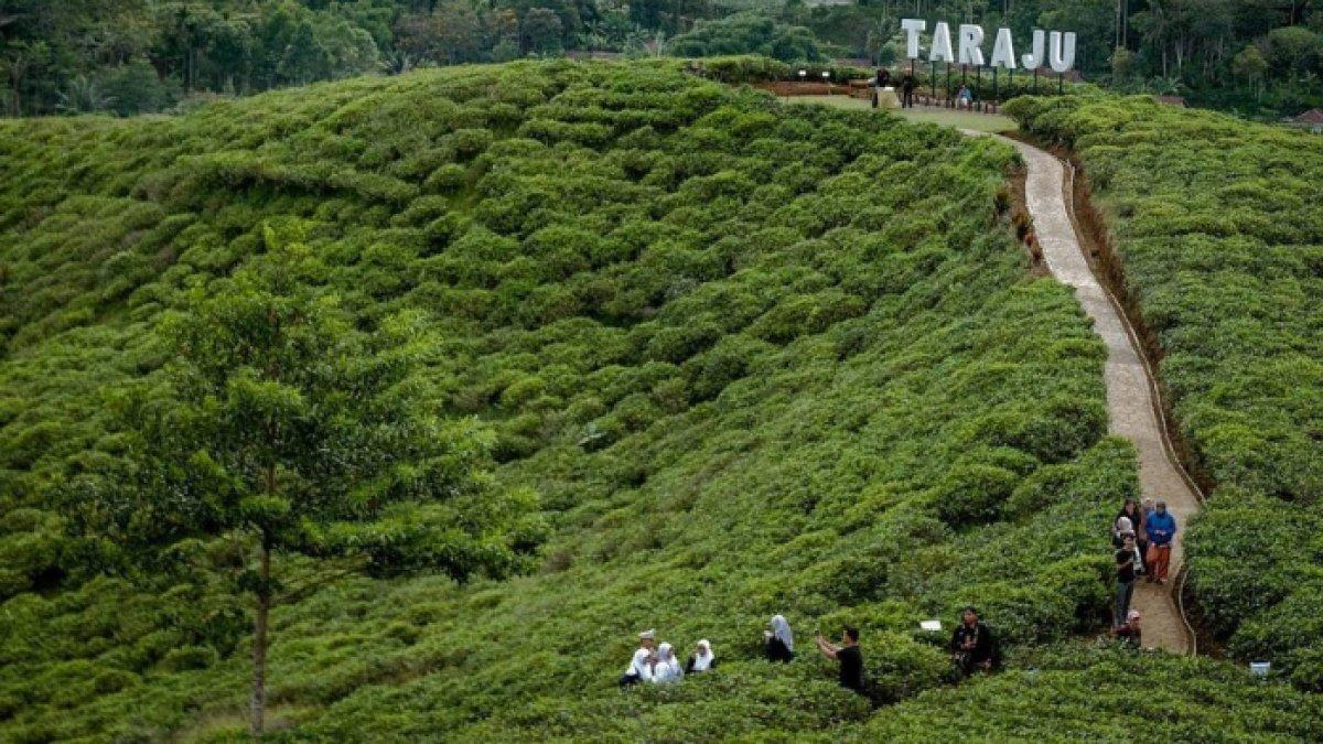 Pesona Desa Wisata Taraju di Tasikmalaya, Jawa Barat yang baru-baru ini dikunjungi Menteri Pariwisata dan Ekonomi Kreatif (Menparekraf) Sandiaga Uno pada Jumat (7/4/2023).