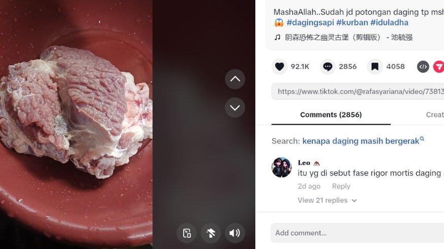 Viral potongan daging kurban bergerak sendiri dan terlihat seperti masih berdenyut.