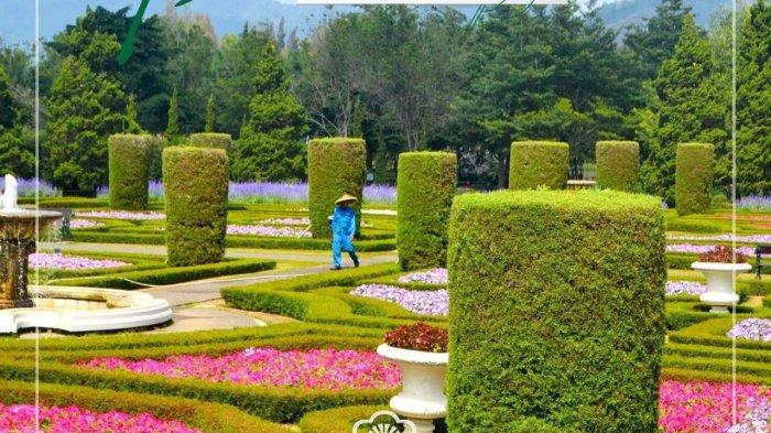 Potret keindahan Taman Bunga Nusantara di Cianjur