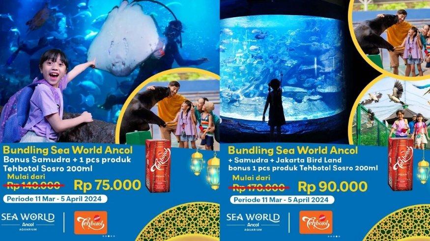 Promo Sea World Ancol Ramadhan.