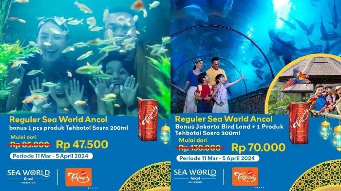 Promo Sea World Ancol Ramadhan.