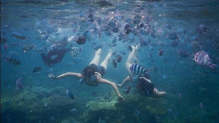 Ilustrasi snorkeling.