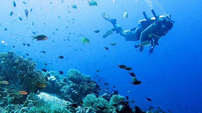 Wisatawan snorkeling di Pulau Moyo Sumbawa, Nusa Tenggara Barat (NTB).