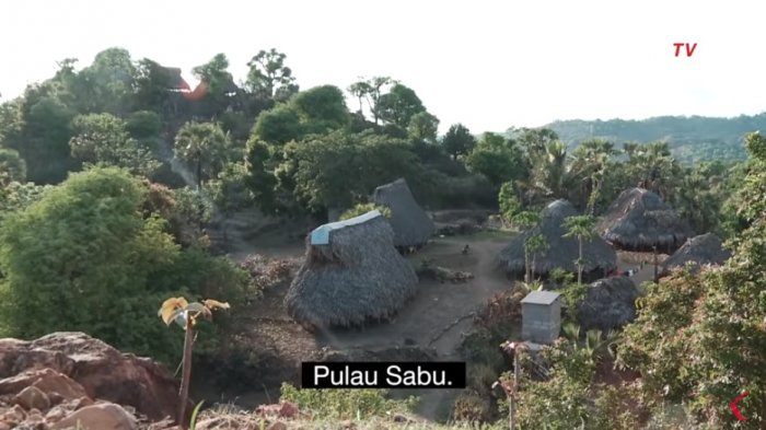 Pulau Sabu.