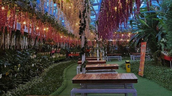 Rainbow Wisteria di Flora Wisata San Terra.