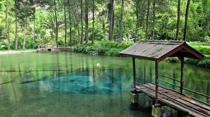 Wisata Telaga Rambut Monte.