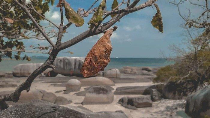 Ratusan batu granit raksasa di Pantai Tanjung Tinggi, Pulau Belitung