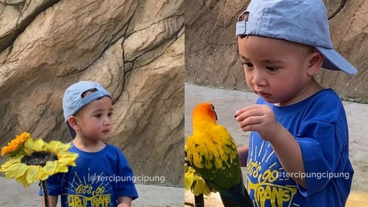 Rayyanza beri makan burung di Jakarta Bird Land Ancol bareng Sus Rini.