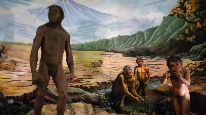 Replika manusia purba di Museum Sangiran, Rabu (18/12/2019)