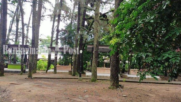 Satu sudut di Hutan Pinus Mentaos, kawasan Jalan Pangeran Suriansyah Ujung, Kelurahan Komet, Kota Banjarbaru, Provinsi Kalimantan Selatan.