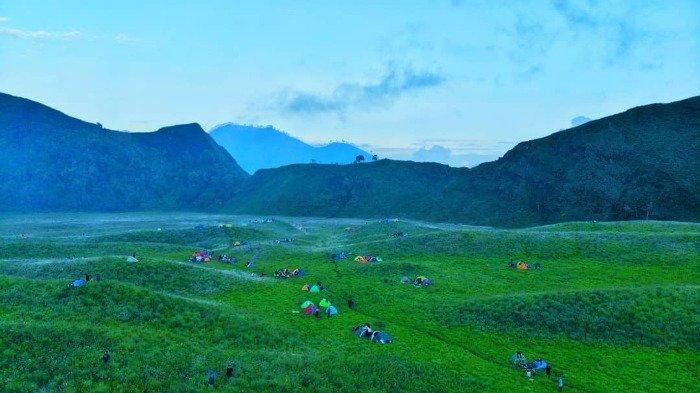 Savana Propok.