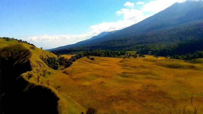 Savana Propok.