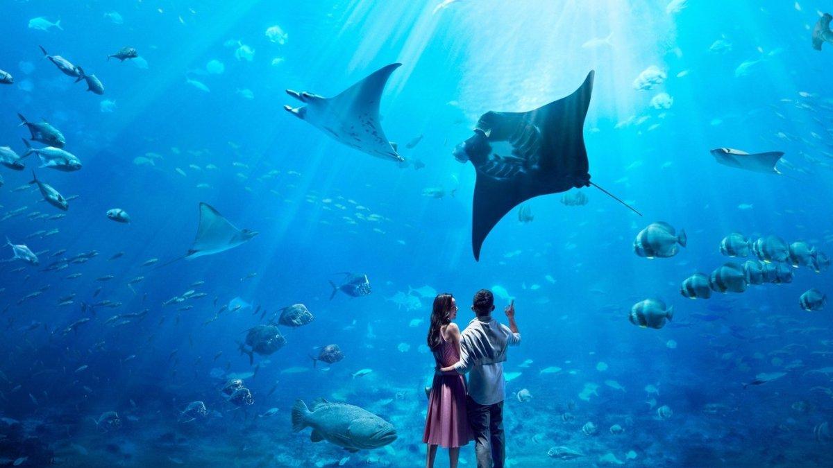 SEA Aquarium Singapura buat liburan keluarga